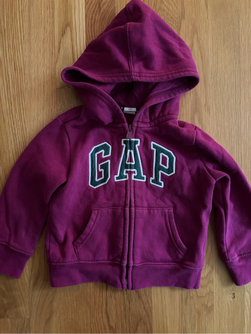 2T Baby GAP Full Zip Logo Hoodie